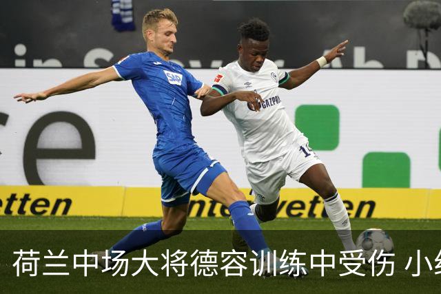 荷兰中场大将德容训练中受伤 小组赛次轮出战成疑