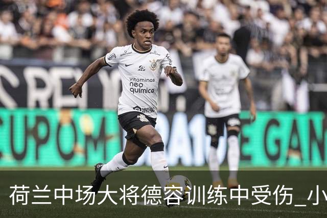 荷兰中场大将德容训练中受伤 小组赛次轮出战成疑